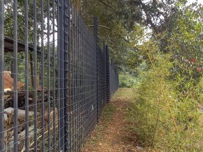 293566178_3202713143321029_447404639095268351_n