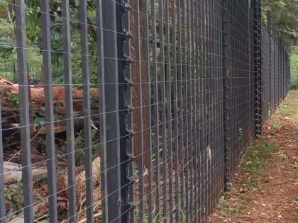 294311169_3202713323321011_9153746025104656960_n