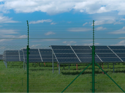 Honeycomb + Electric Fence