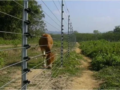 solar-fencing-for-agricultural-land-industrial-500x500