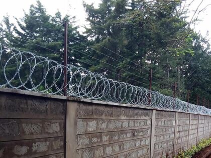 topwall_electricfence4