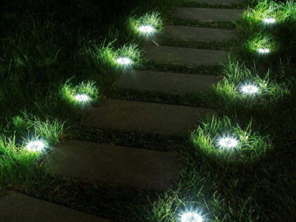 Evening enchantment.